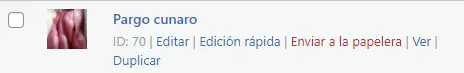 Duplicar un producto Woocommerce