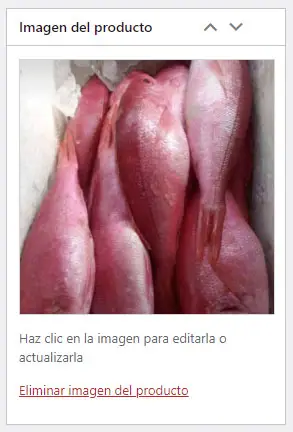 Imagen del producto en WordPress