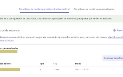 Servidor de nombre personalizado en Google Domains (DNS)