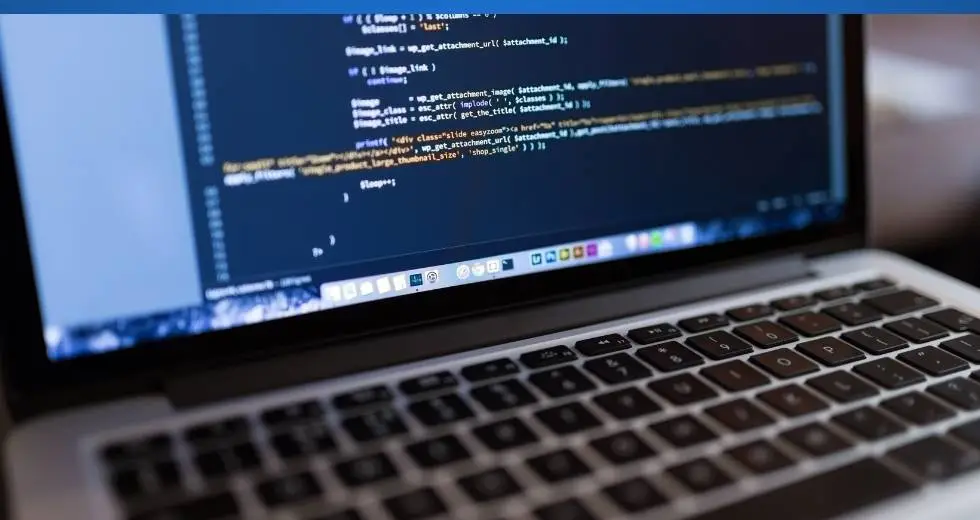 Personalización de la apariencia de su sitio web