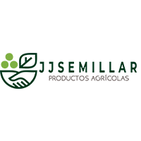 Diseño grafico profesional - Servicio Diseño de Logos